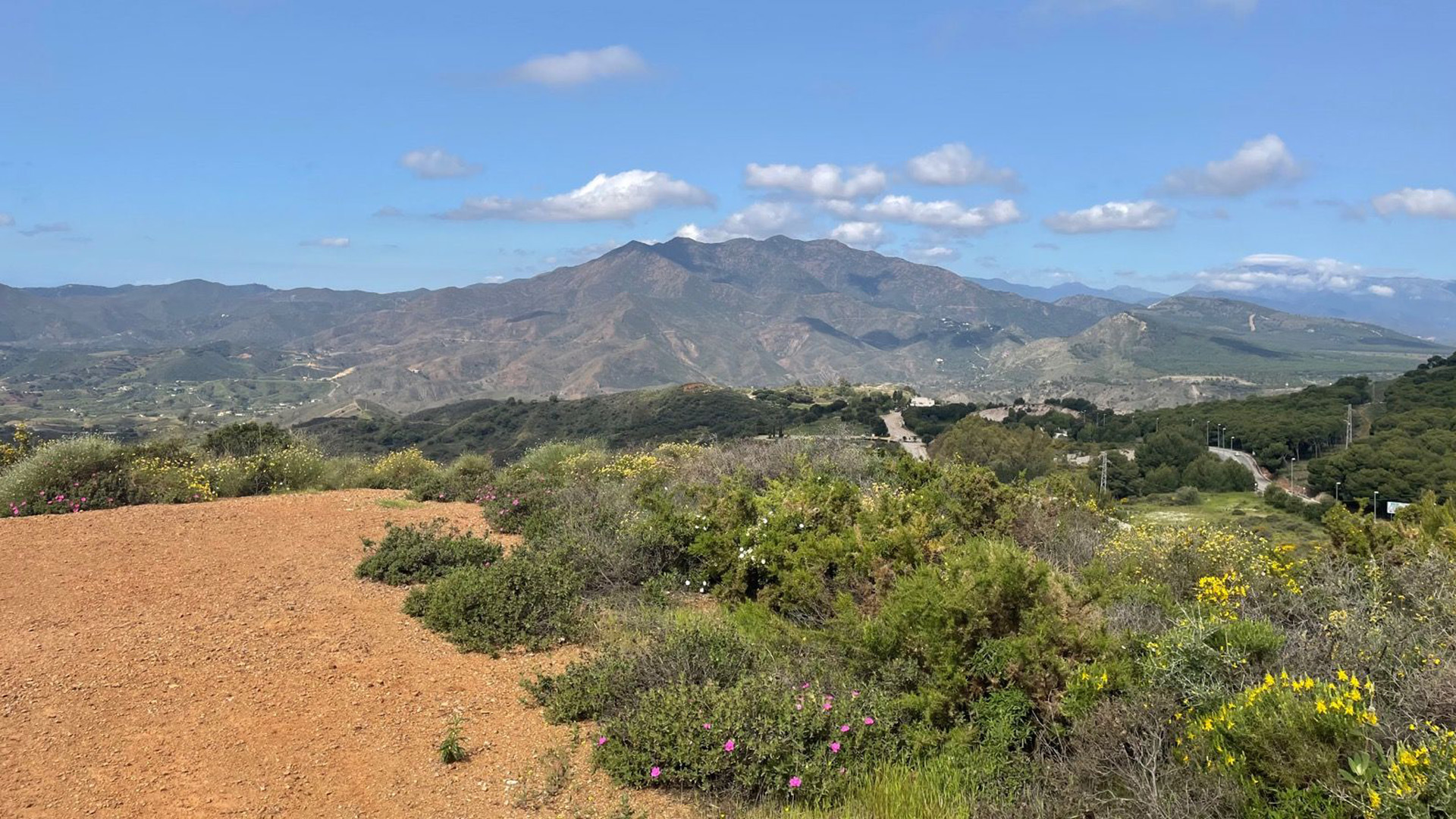 Image of Route 2 – Terral – El Romeral – Coin