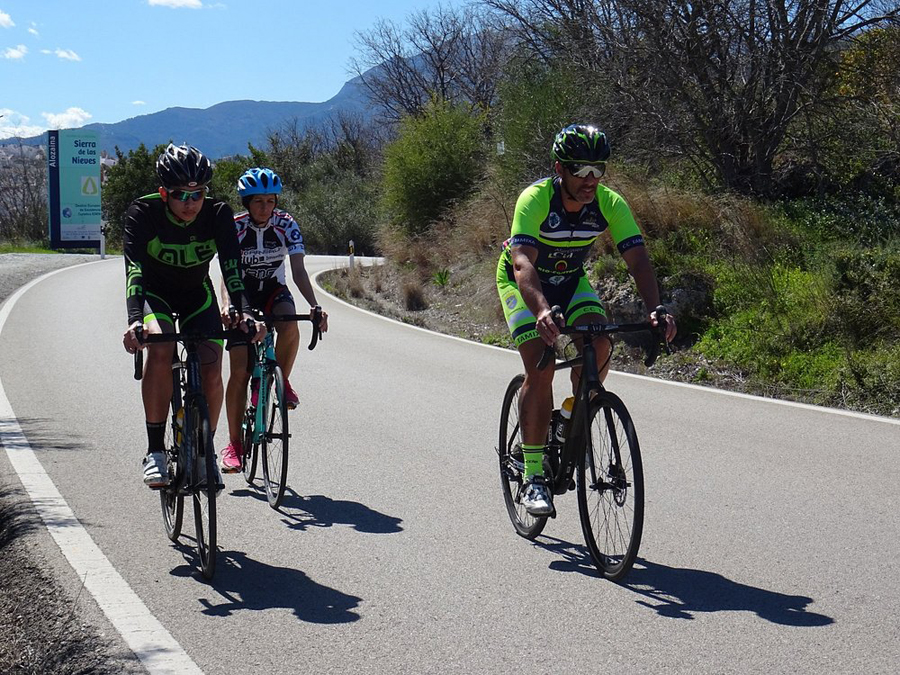 Terral bike users (16) Image of Terral bike users (16)