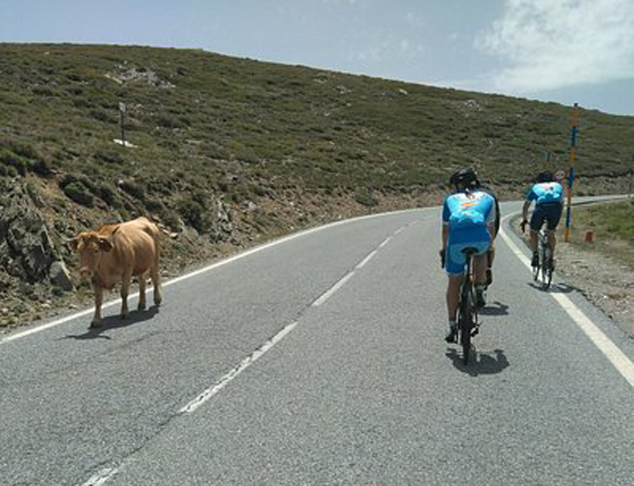 Terral bike users (19) Image of Terral bike users (19)