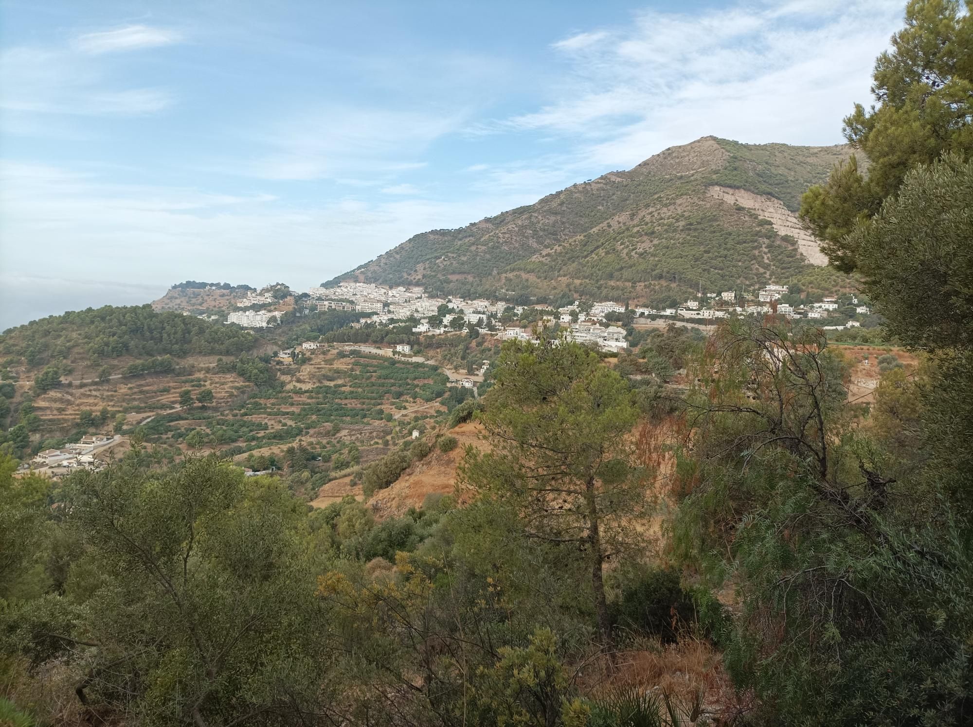 Image of Terral Bike Shop – Los Pacos – Loma del Flamenco – Garden Center