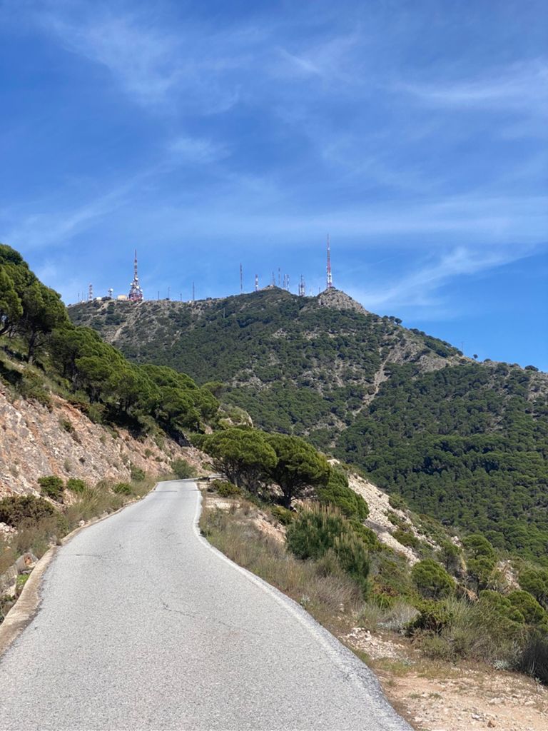 Image of Terral Bike Shop – Repetidor – Venta Los Morenos