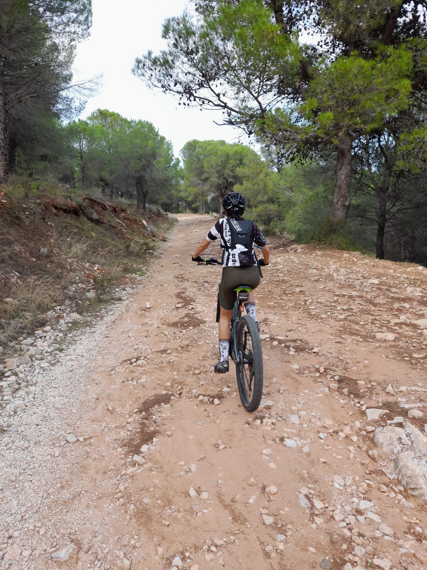 Image of Terral Bike Shop – BP Alhaurín – Jarapalos – Mijas