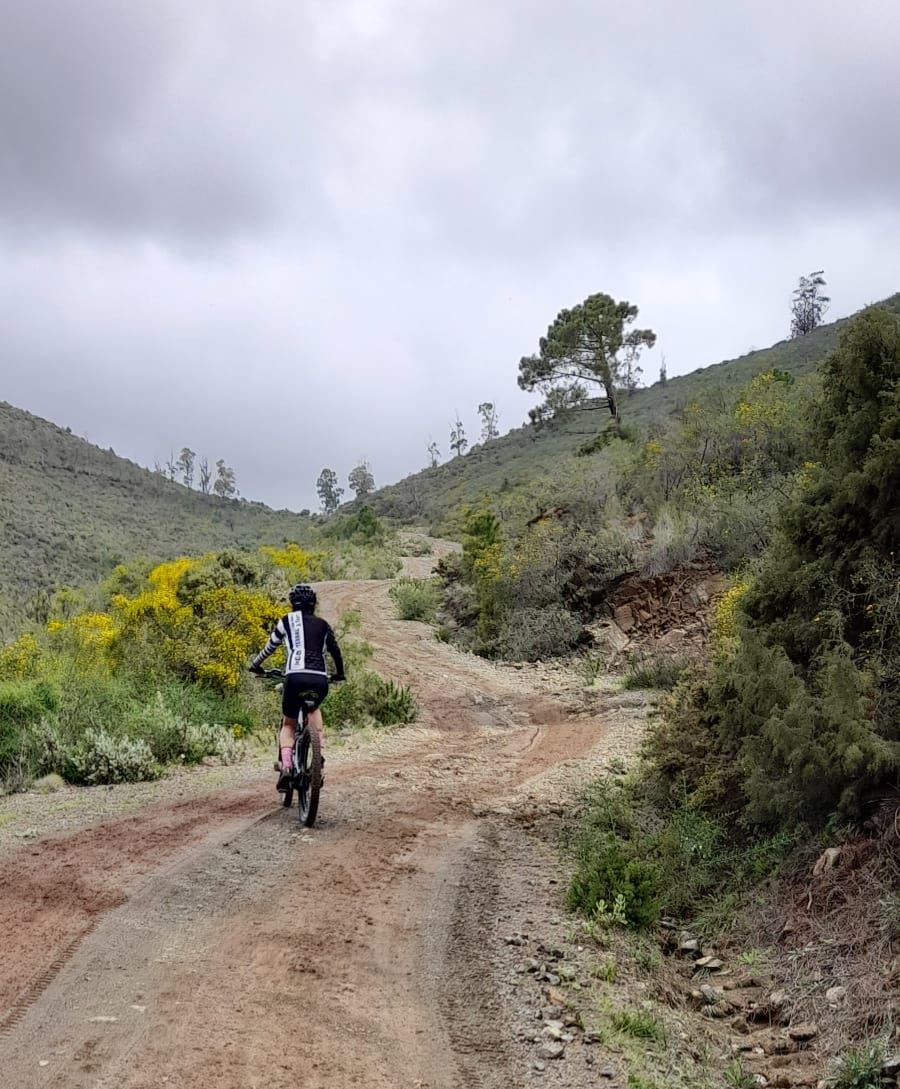 Image of Terral Bike Shop – Julio Iglesias Tour