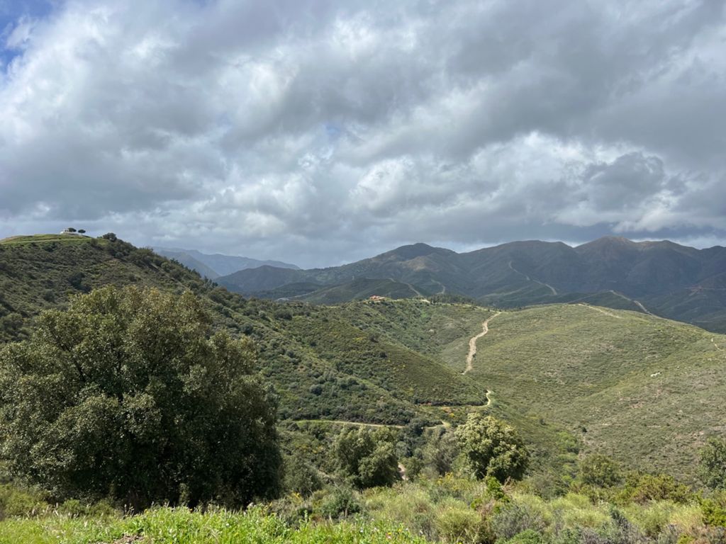Image of Terral Bike Shop – Ojén – Elviria