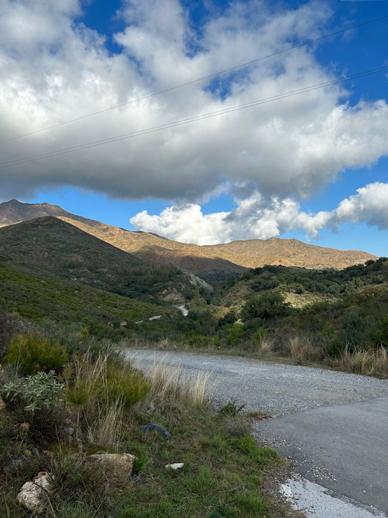 Image of Terral Bike Shop – Toxicomanos – Ojén – Monda – BP Alhaurín