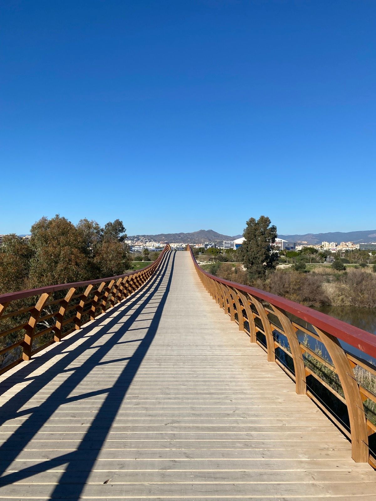 Image of Terral Bike Shop – Málaga – Muelle Uno