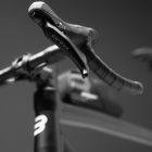 Imagen de Basso palta black out 10