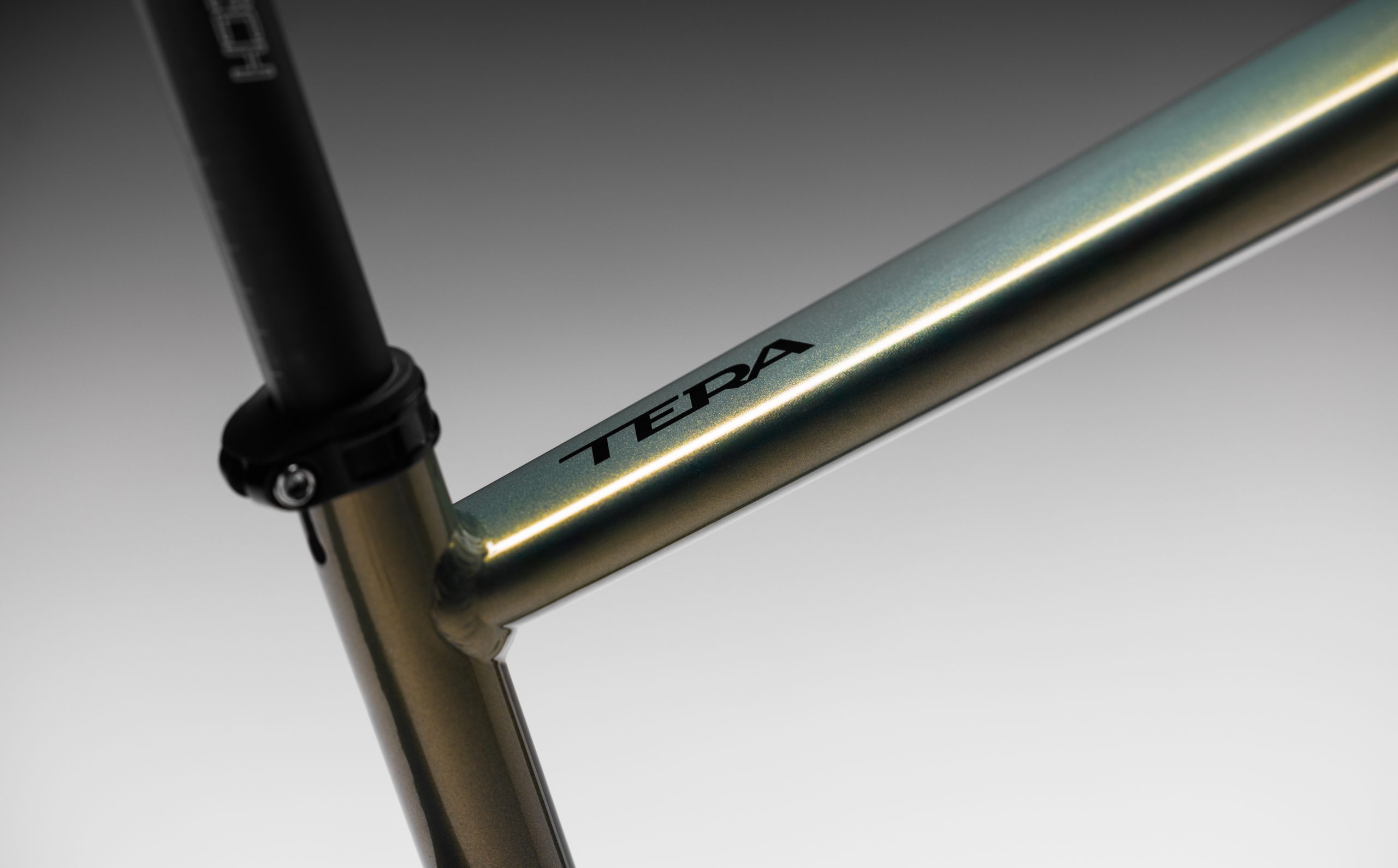 Imagen de Basso palta night leaf 3