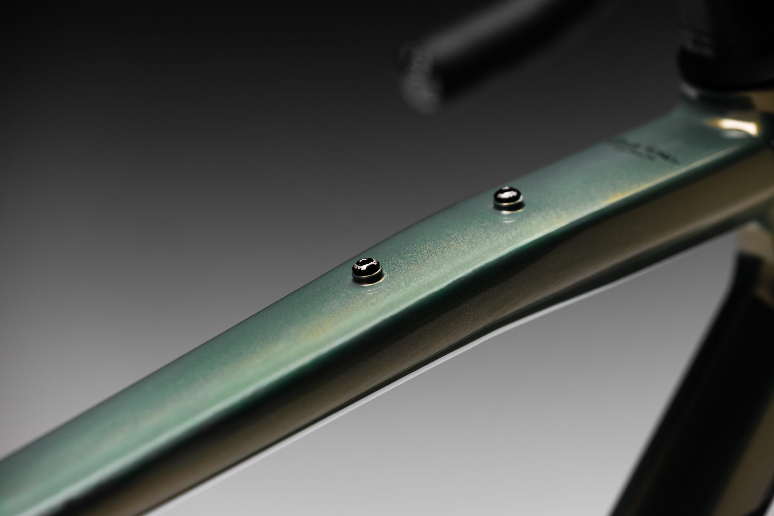 Imagen de Basso palta night leaf 4