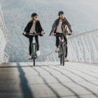 Imagen de Denamo action 1