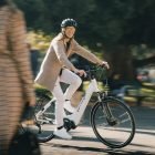 Imagen de Denamo action 4