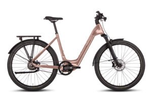 Steppenwolf Transterra Easy 9.0 Avinox 800Wh e-bike