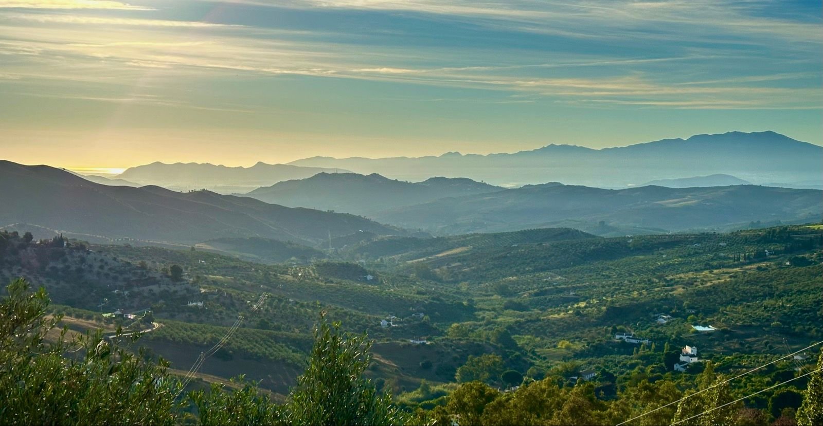 Image of Terral Bike Shop – Sierra de las Nieves